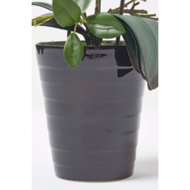 White Orchid 56 cm Phalaenopsis in Ceramic Pot - thumbnail 3