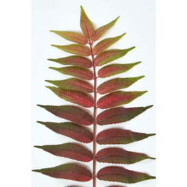 Fern Leaf Foliage 72 cm - thumbnail 3