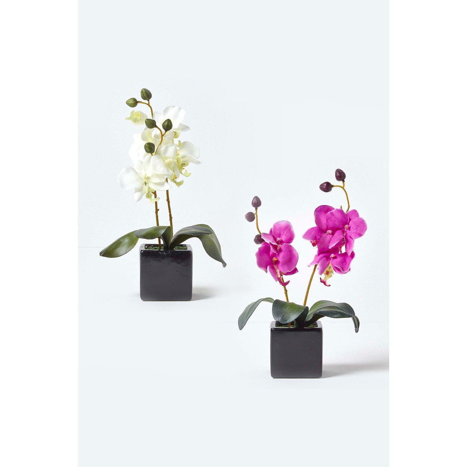 Set of 2 Pink & Cream Artificial Orchids in Black Pots, 35 cm - image 1
