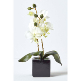 Set of 2 Pink & Cream Artificial Orchids in Black Pots, 35 cm - thumbnail 3