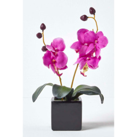 Set of 2 Pink & Cream Artificial Orchids in Black Pots, 35 cm - thumbnail 2