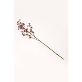 Pink Prickly Ash Flower Single Stem 77 cm