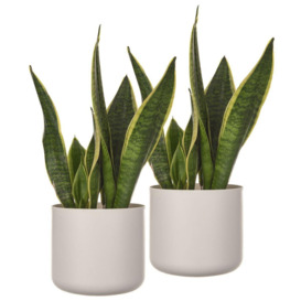 14cm Plain Round Plastic Plant Pot in Sleek White - thumbnail 1