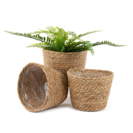 Handwoven Seagrass Flower Plant Pots - Set of 3 - thumbnail 1