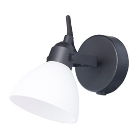 Contemporary and Chic Wall Spot Light with Switch and Glass Shade - thumbnail 1