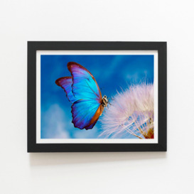 Butterfly And Dandelion Framed Art Print