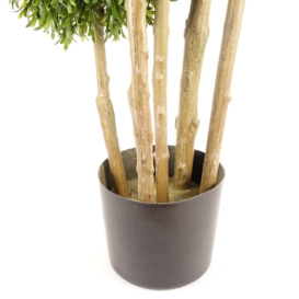 120cm UV Resistant Rosemary Topiary - 480 Leaves - Natural Trunk - thumbnail 2