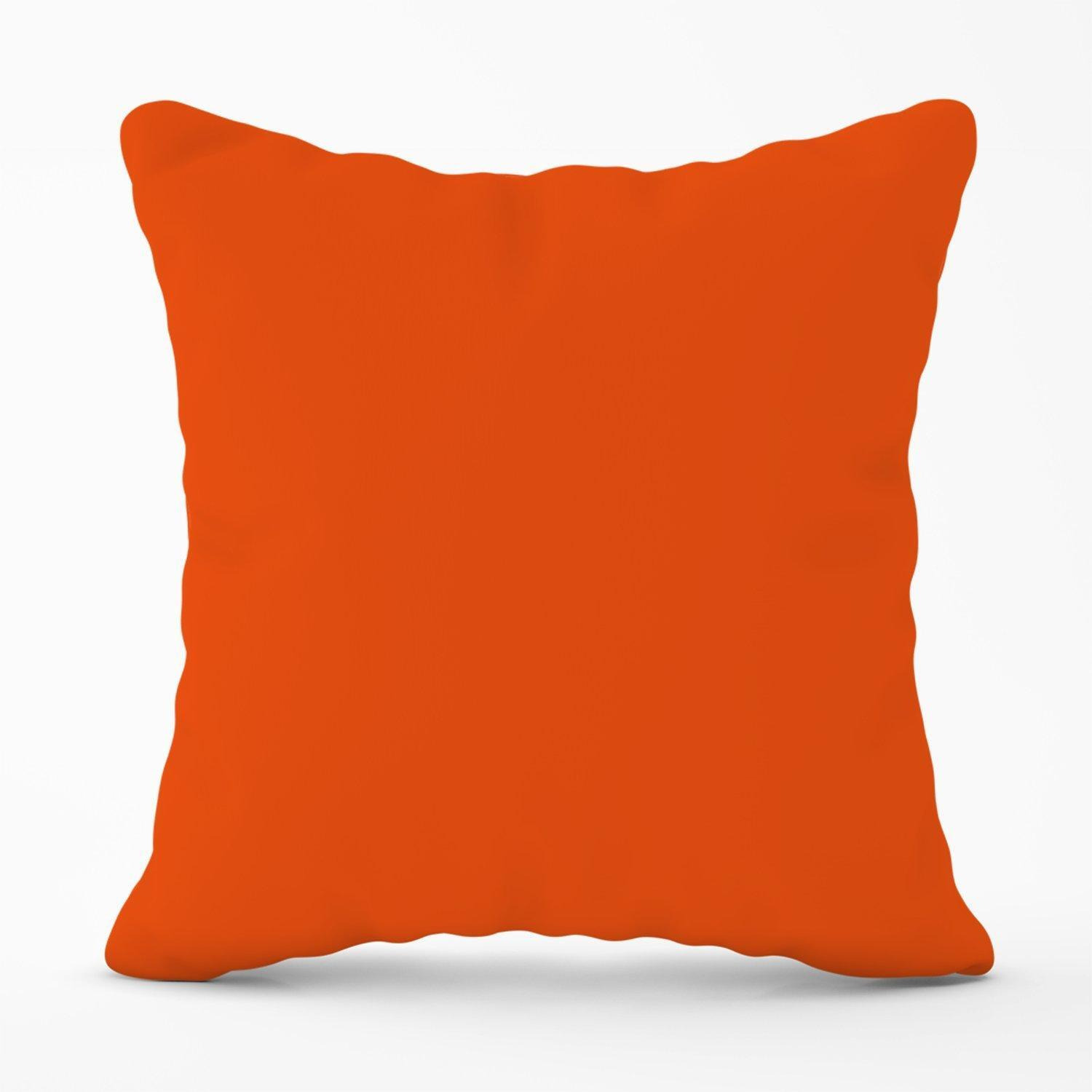 Burnt Orange Outdoor Cushion - image 1