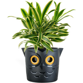 Self Watering Smart Plant Pot Owl Design - thumbnail 1