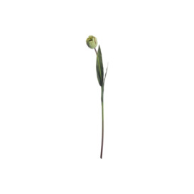 Artificial Green Tulip Plant