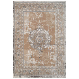 Warm Beige Distressed Traditional Medallion Bordered Rug - thumbnail 1