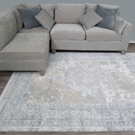 Blue Grey Distressed Traditional Medallion Bordered Rug - thumbnail 2