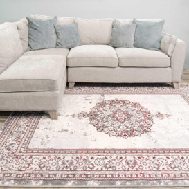 Silver Grey Red Distressed Traditional Medallion Bordered Rug - thumbnail 2