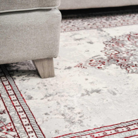 Silver Grey Red Distressed Traditional Medallion Bordered Rug - thumbnail 3