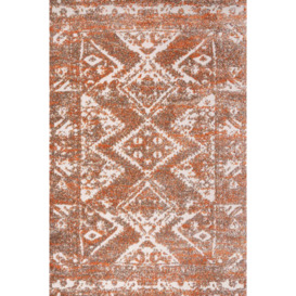 Distressed Terracotta Outdoor, Garden and Patio Area Rug - thumbnail 1