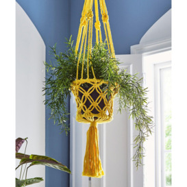 Bright Macrame Hanging Basket