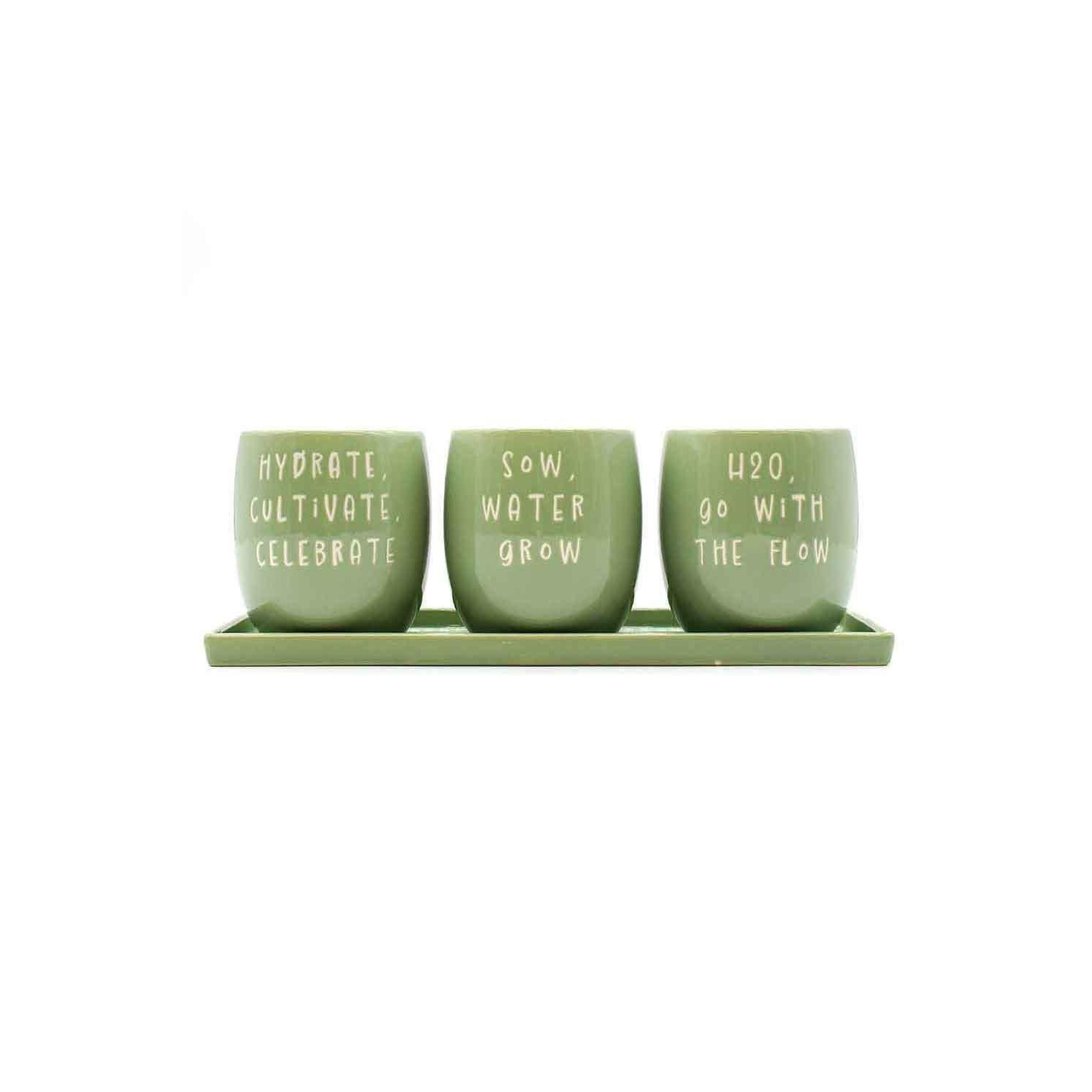 Set of 3 Green Slogan Ceramic Planters with Tray - image 1