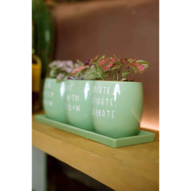 Set of 3 Green Slogan Ceramic Planters with Tray - thumbnail 2