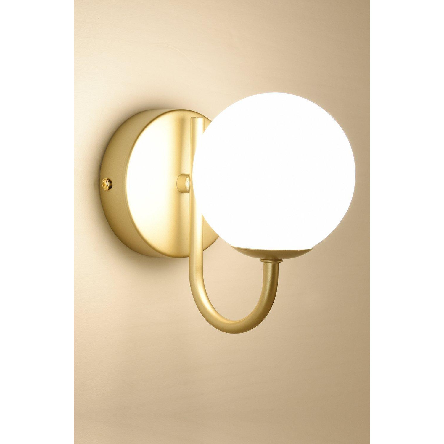 Wall Light and Sconce with Globe Shade - image 1