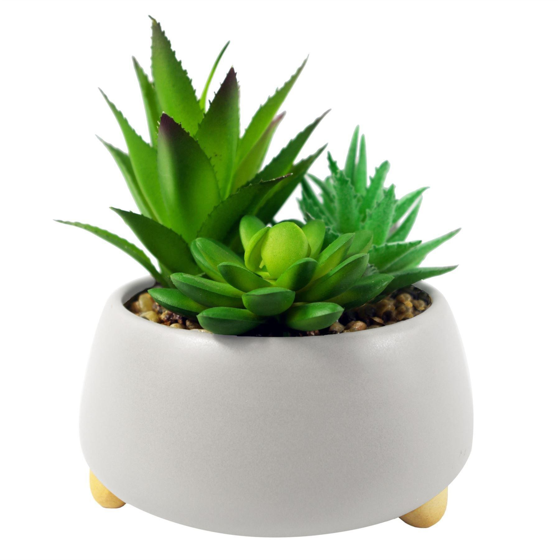 12cm Ceramic Pebble White Planter with Three Artificial Succulent Plants - image 1