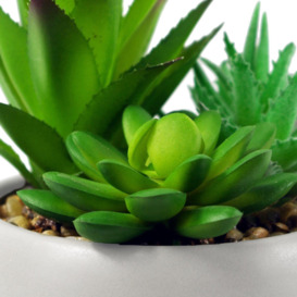 12cm Ceramic Pebble White Planter with Three Artificial Succulent Plants - thumbnail 2