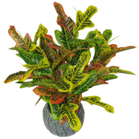 65cm Artificial Codiaeum Multicoloured House Plant - thumbnail 2