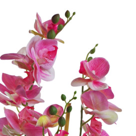 70cm Artificial Orchid Light Pink with Black Ceramic Planter - thumbnail 3