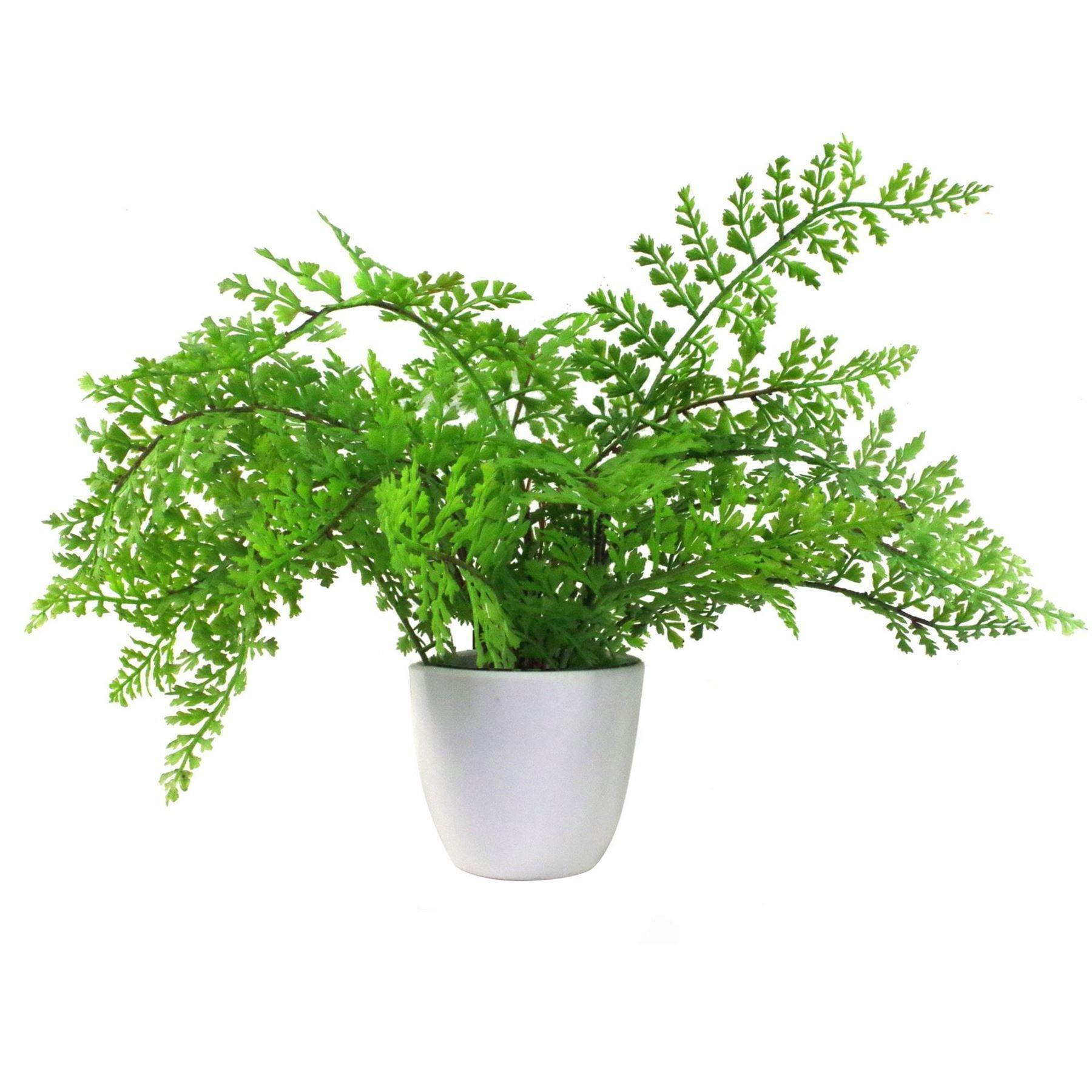 30cm Artificial Potted Royal Fern - image 1