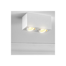 'Sasha' White Twin Rectangular Ceiling Spotlight