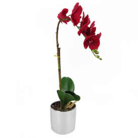 46cm Artificial Orchid Red with Silver Pot - thumbnail 3