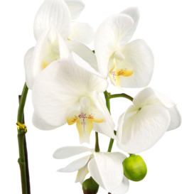 46cm Artificial Orchid Dark White / Silver - thumbnail 2