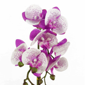 50cm Phalaenopsis Orchid Artificial - Purple / White - Gold Pot - thumbnail 2
