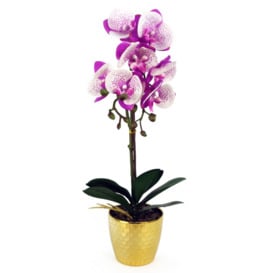 50cm Phalaenopsis Orchid Artificial - Purple / White - Gold Pot - thumbnail 1