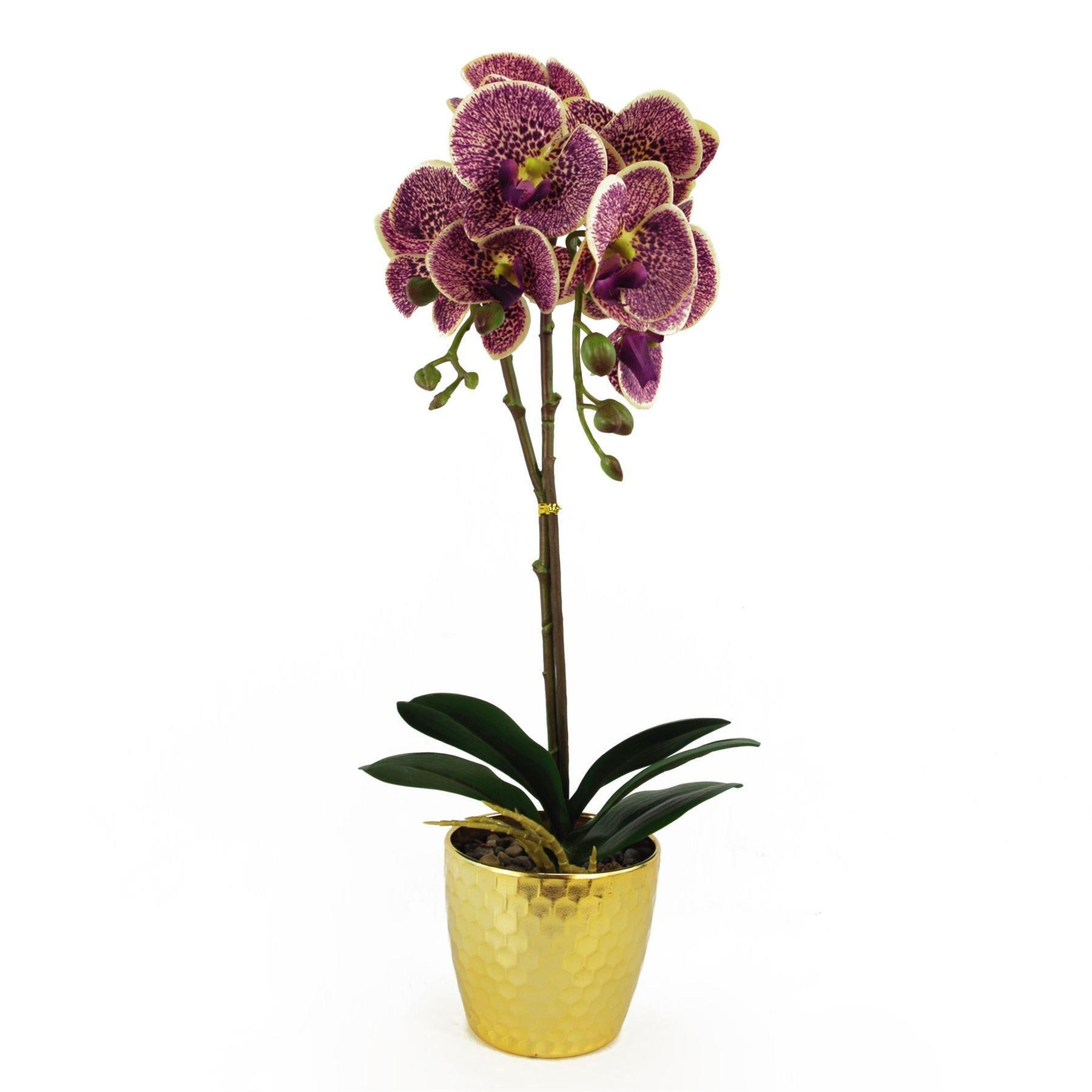 50cm Phalaenopsis Orchid Artificial - Purple Leopard - Gold Pot - image 1