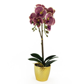 50cm Phalaenopsis Orchid Artificial - Purple Leopard - Gold Pot - thumbnail 1