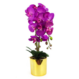 52cm Artificial Orchid Large - Purple / Gold - thumbnail 1