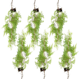 6 x 100cm Artificial Hanging Maidenhair Fern Plant Light Green - thumbnail 1