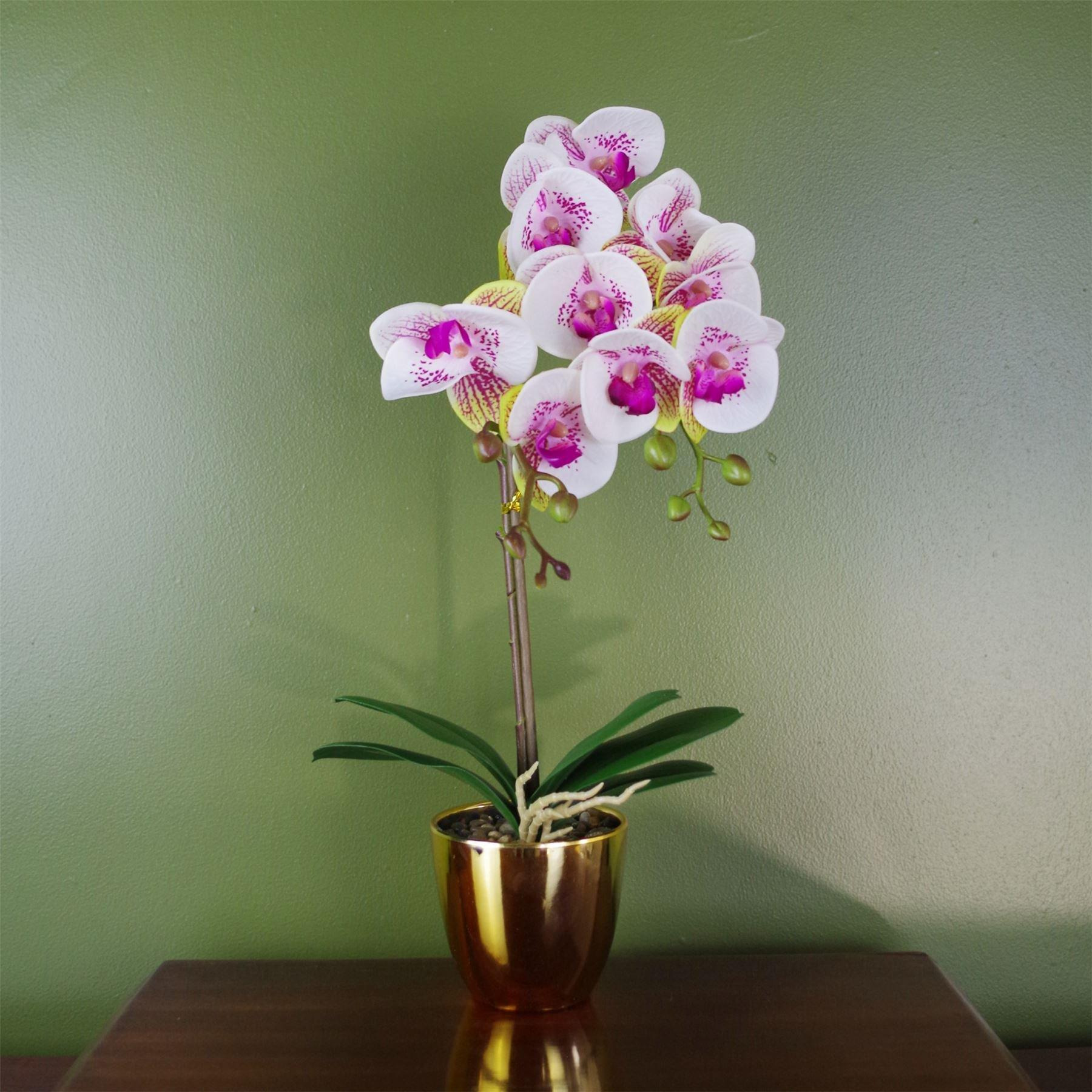 48cm Harlequin Orchid Artificial  - Pink with Gold Pot - image 1