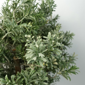 Artificial Topiary Artemisa Plant - thumbnail 2