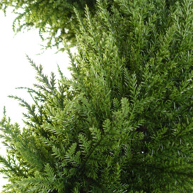 120cm Sprial Cypress Tree Artificial Topiary - thumbnail 3