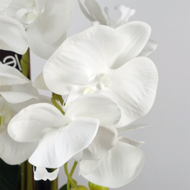 60cm Pure White Orchid with Ceramic Bubble Planter - thumbnail 2