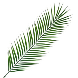 Pack of 6 x 100cm Realistic Artificial Palm Leaf - thumbnail 2