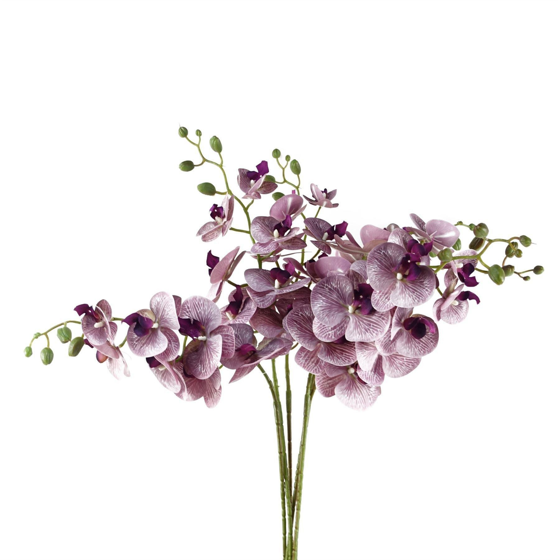 Pack of 6 x 100cm Artificial Phalaenopsis Orchid Purple Stem - image 1