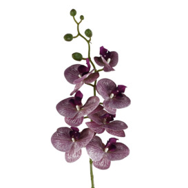 Pack of 6 x 100cm Artificial Phalaenopsis Orchid Purple Stem - thumbnail 3