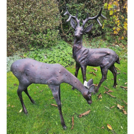 Large Stag and Doe Deer Sculptures Garden Ornaments