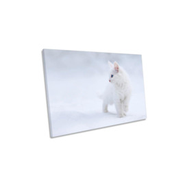 White as Snow Cat Canvas Wall Art Picture Print