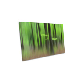 Spring Morning Forest Abstract Green Canvas Wall Art Picture Print