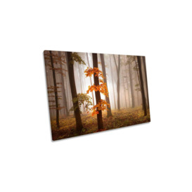 November Light Forest Orange Canvas Wall Art Picture Print - thumbnail 1