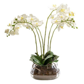 Orchid in Fishbowl - thumbnail 2