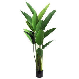 Green Artificial Tall Strelitzia Plant in a Black Pot - thumbnail 3